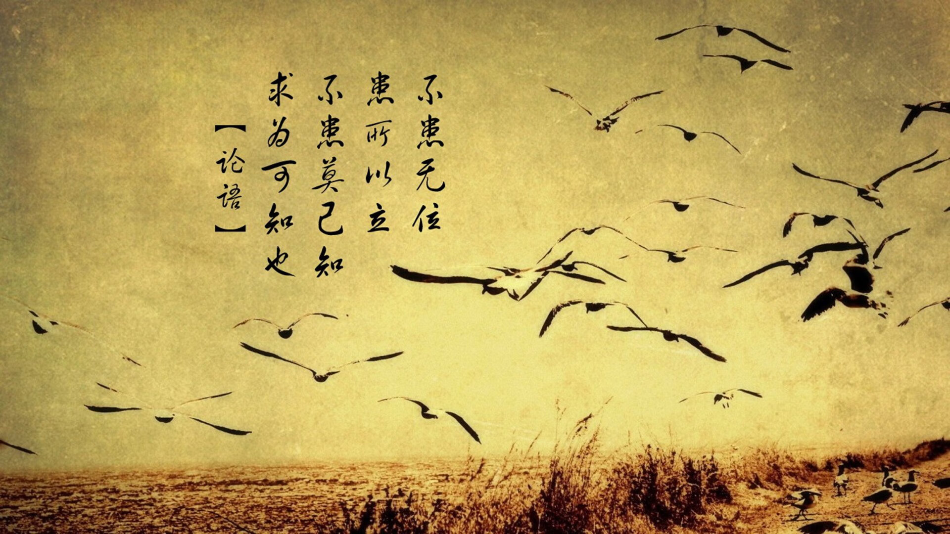 Jiuyou-中超南北大战火花四溅，球迷场外热情助威，中超北方球队有哪些