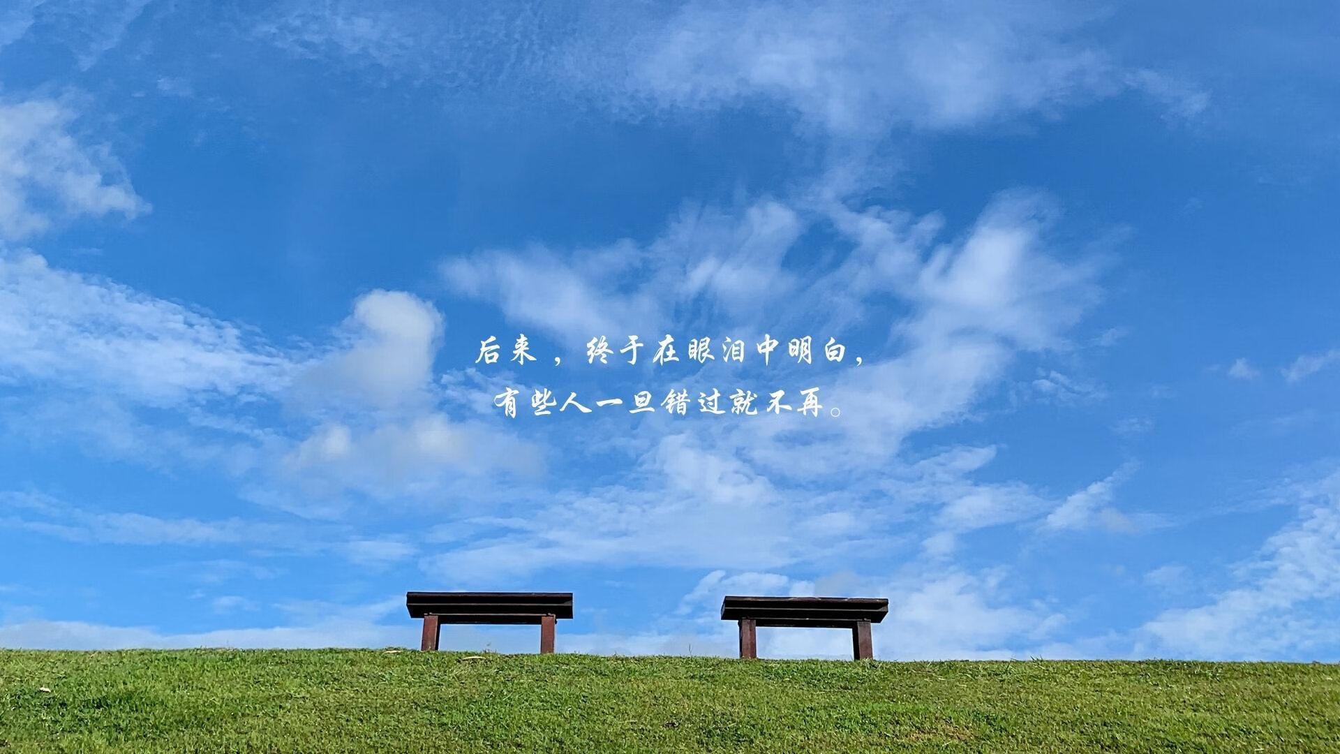 失误之殇：上海队全场20次失误，错失反超良机！，上海队队员