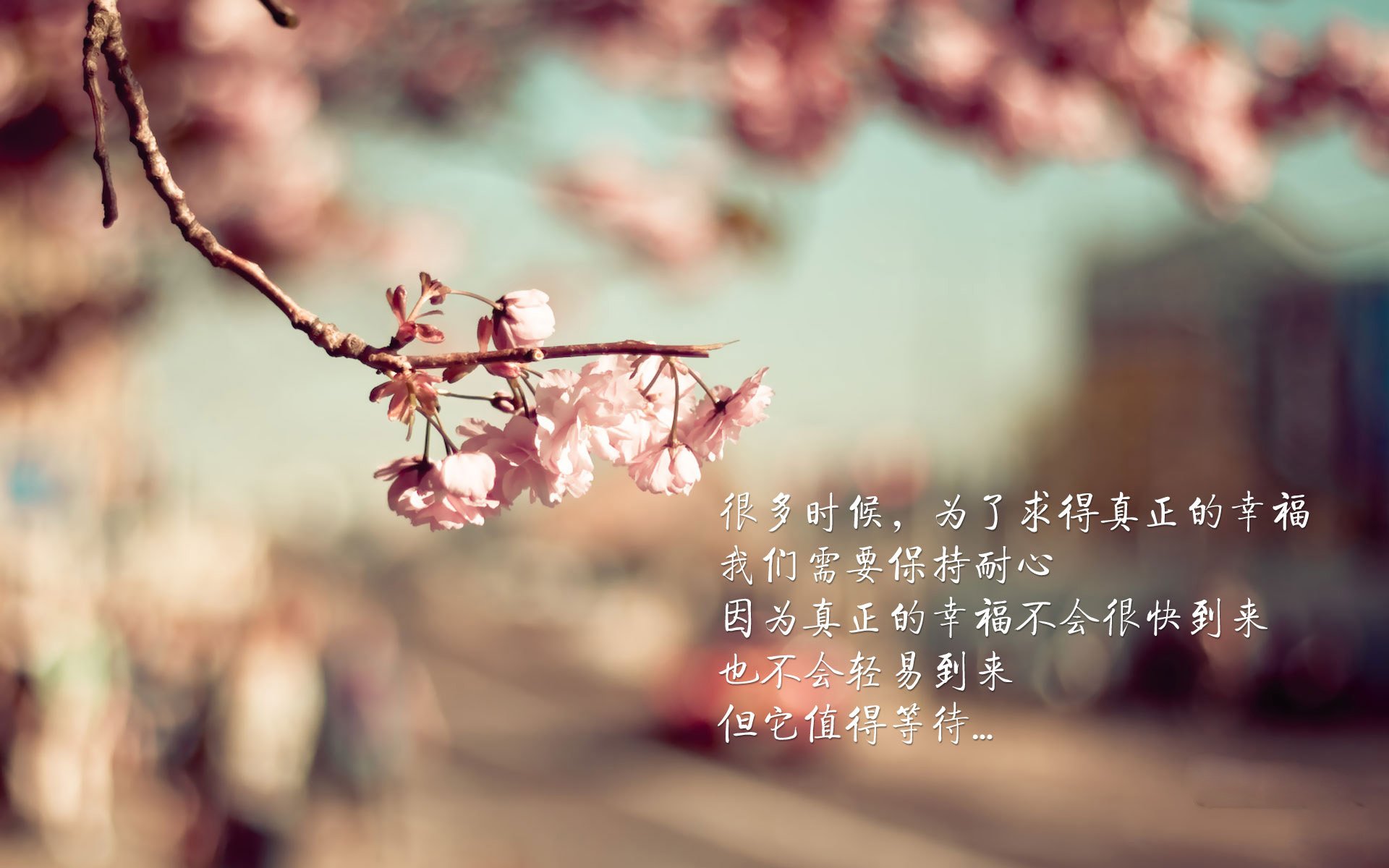 利物浦在转会市场上保持低调，专注球队建设，利物浦最新转会名单