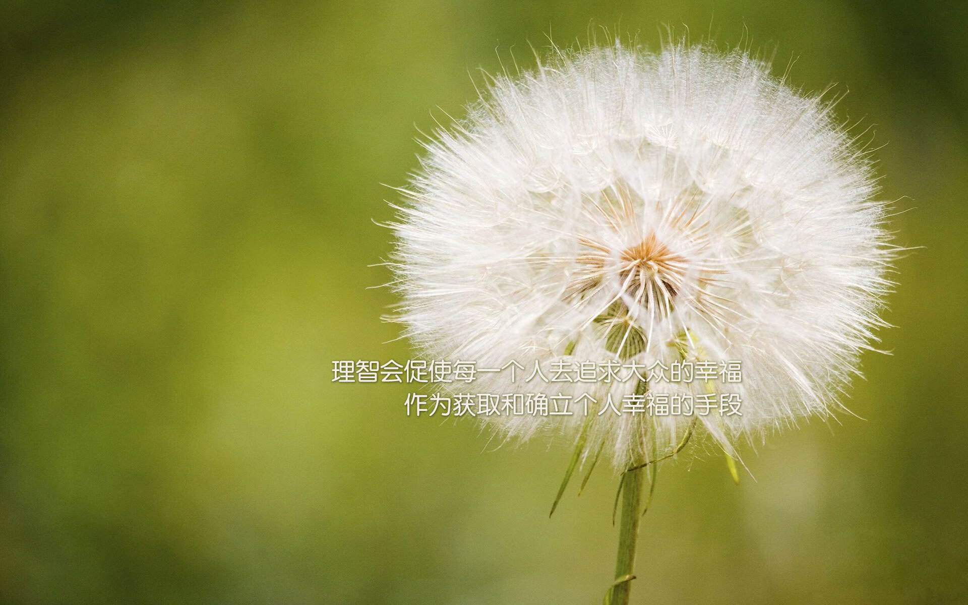 九游网页版入口-球员比赛负荷是否应交由AI辅助管理，比赛时期的负荷特点