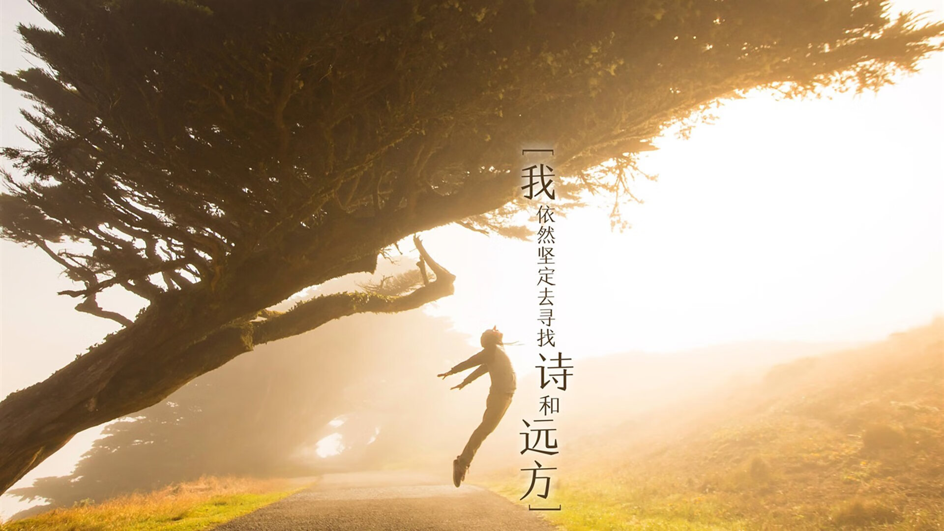 九游网游官网-瓜达拉哈拉球员表现获赞，市场价值提升，瓜达拉哈拉集团
