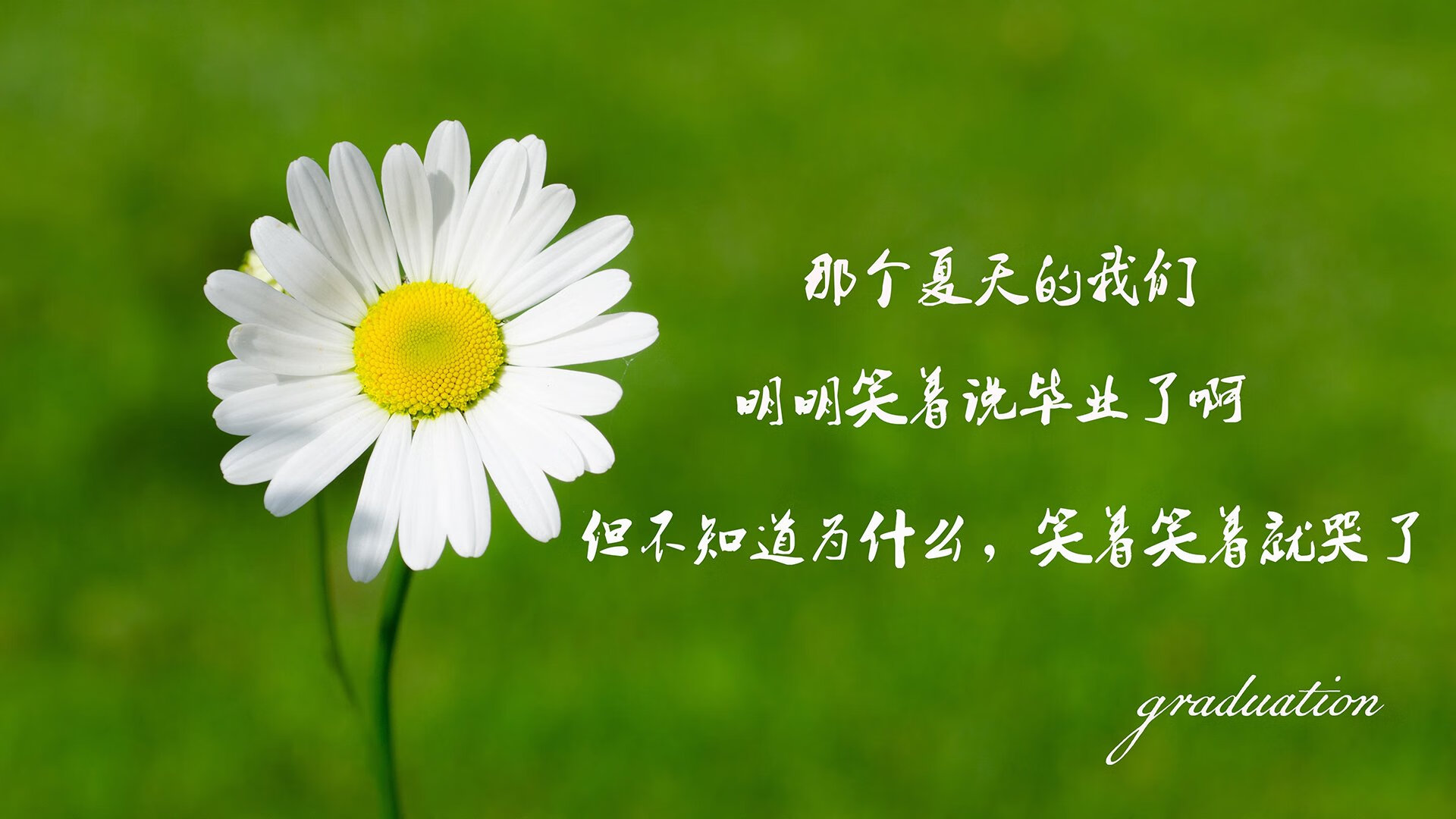 精彩绝伦的比赛中让球迷们尽享视觉盛宴，酣畅淋漓的球赛,感受体育的魅力