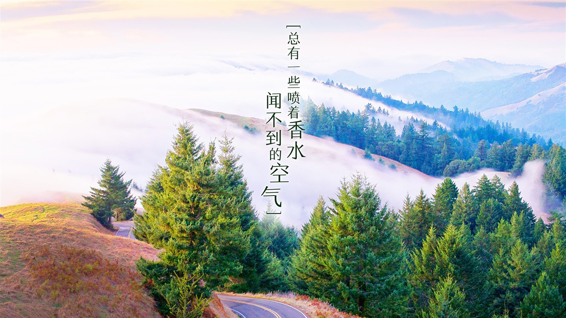 5大联赛领头羊谁能持续领跑？最新积分榜曝光，2021最新五大联赛积分