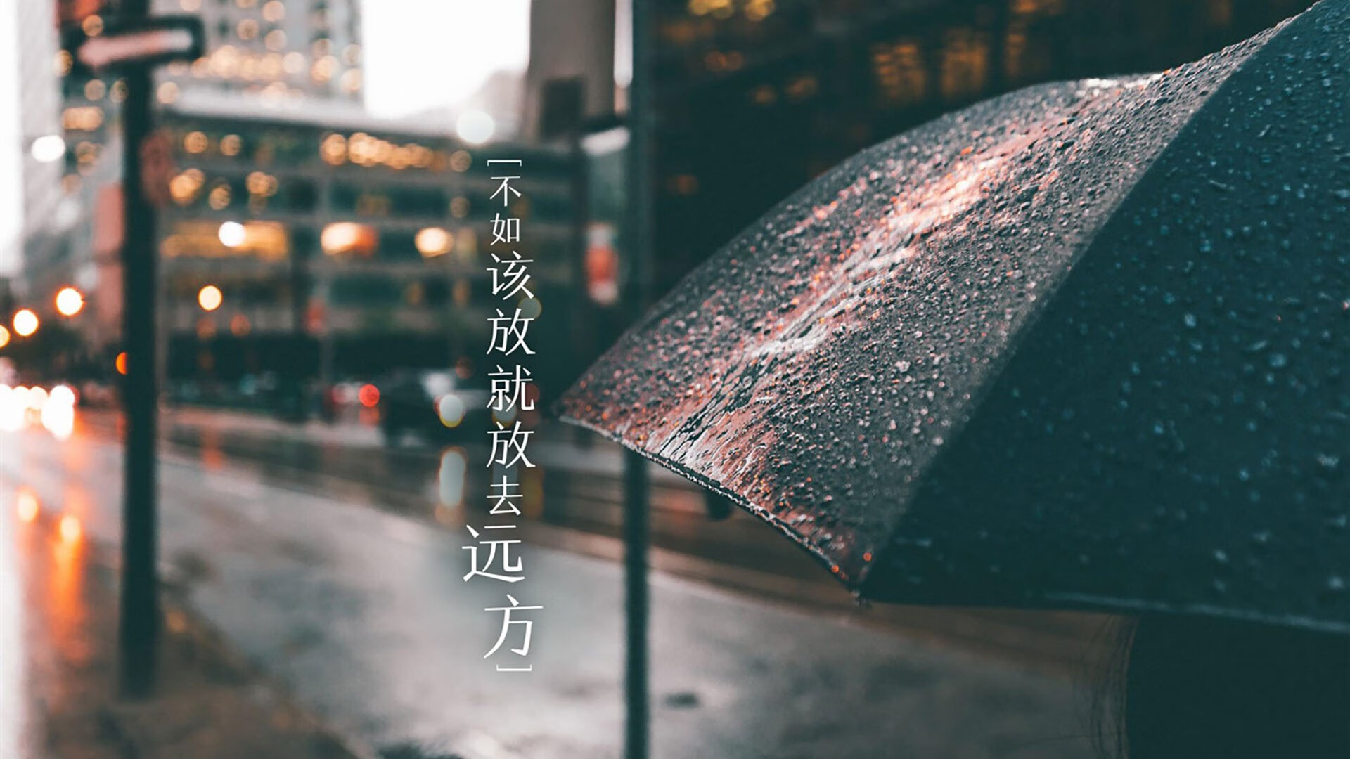 九游(jiuyou)官方网站-体育社会组织能力建设大会成功举办，体育社会组织发展历程