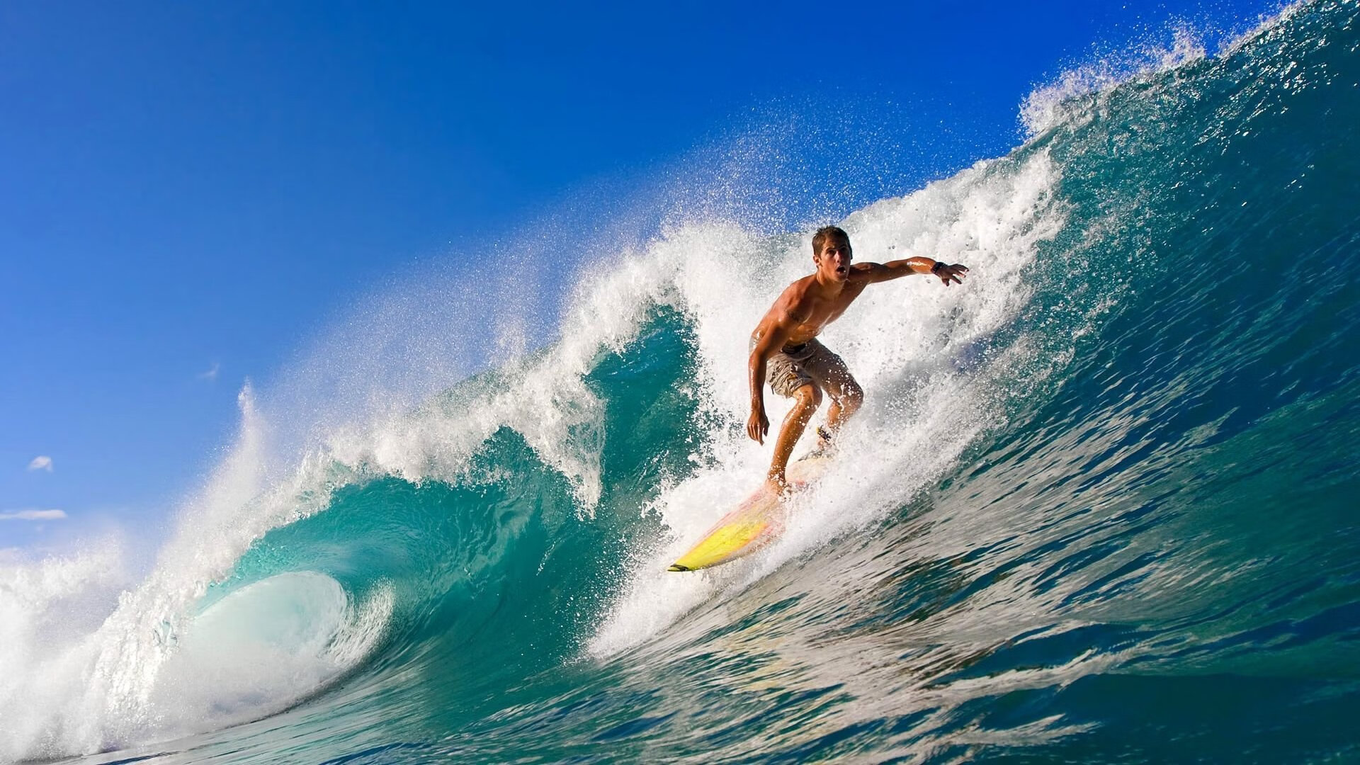 今年联盟“最火”的新秀球员，你支持谁？，联盟新秀排行